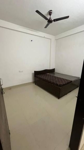 600 sq ft 1 BHK 1T BuilderFloor for rent in Project at Sector 52, Gurgaon by Agent seller
