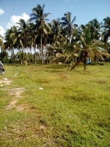 Plot of land Palakkad For Sale India