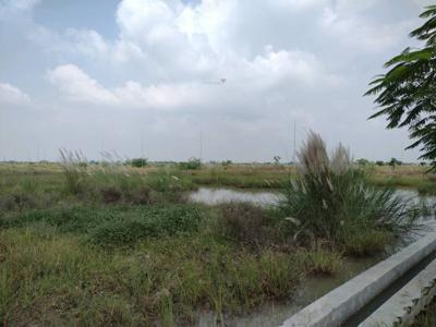1000 sq ft NorthEast facing Plot for sale at Rs 2.50 crore in YEIDA Plot in Sector 19 Yamuna Expressway, Noida
