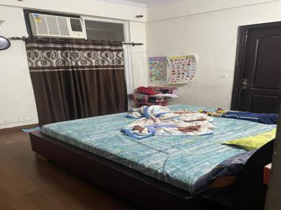1020 sq ft 2 BHK 2T Apartment for rent in Amrapali Princely Estate at Sector 76, Noida by Agent Yash