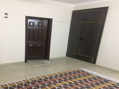 1045 sq ft 2 BHK 2T Apartment for rent in Paramount Floraville at Sector 137, Noida by Agent Pratap Associates