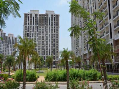 1100 sq ft 2 BHK 2T Apartment for rent in DLF Silver Oaks at Sector 26 Gurgaon, Gurgaon by Agent aayush estate