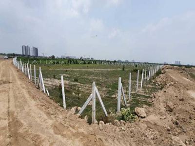 11000 sq ft North facing Plot for sale at Rs 40.00 lacs in Project in Sector 151, Noida