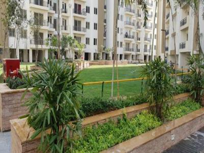 1245 sq ft 2 BHK 2T East facing Apartment for sale at Rs 100.00 lacs in Umang Winter Hills 3th floor in Shanti Park Dwarka, Delhi
