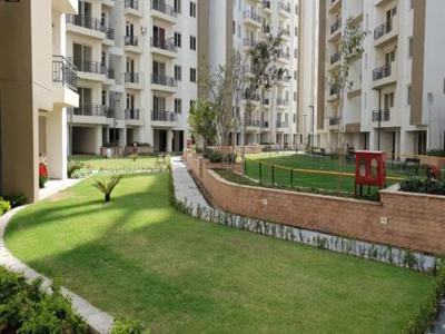 1245 sq ft 2 BHK 2T East facing Completed property Apartment for sale at Rs 95.00 lacs in Umang Winter Hills 9th floor in Shanti Park Dwarka, Delhi