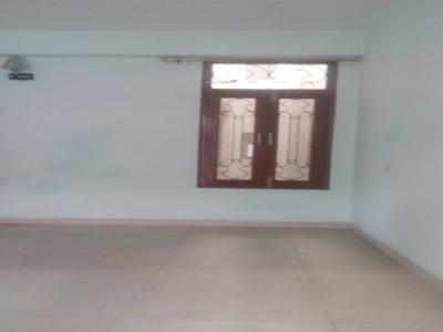 1300 sq ft 2 BHK 2T IndependentHouse for rent in Project at Sector 41, Noida by Agent Noida property mart