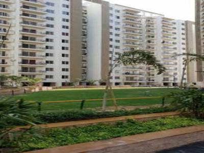 1638 sq ft 3 BHK 2T Completed property Apartment for sale at Rs 1.22 crore in Umang Winter Hills 12th floor in Shanti Park Dwarka, Delhi