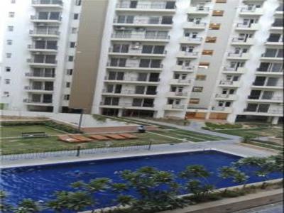1638 sq ft 3 BHK 3T Apartment for sale at Rs 1.11 crore in Umang Winter Hills 11th floor in Shanti Park Dwarka, Delhi