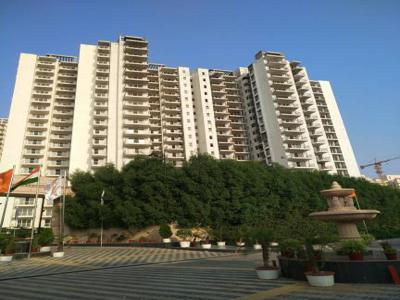 1890 sq ft 3 BHK 3T Apartment for rent in SS The Coralwood at Sector 84, Gurgaon by Agent Shri Property Consultant