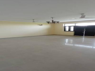 2000 sq ft 1 BHK 1T NorthEast facing IndependentHouse for sale at Rs 1.65 crore in Project in Sector 51, Noida