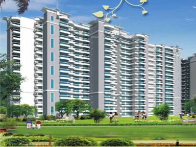 2000 sq ft 3 BHK 3T Apartment for rent in Prateek Fedora at Sector 61, Noida by Agent RMM Infratech