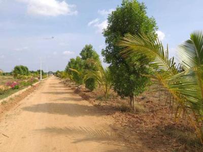2178 sq ft East facing Plot for sale at Rs 13.55 lacs in eg in Hyderabad Warangal Hwy, Hyderabad