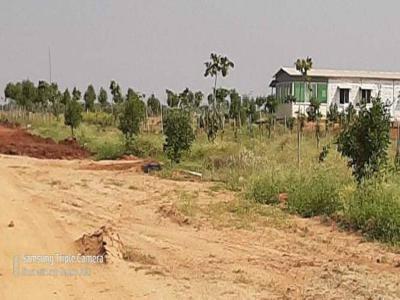 2178 sq ft NorthEast facing Plot for sale at Rs 14.52 lacs in EGPROPERTIES VANADHARA in Thimmapur, Hyderabad