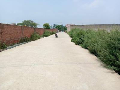 2700 sq ft NorthEast facing Plot for sale at Rs 1.14 crore in Project in Pur VIllage, Delhi
