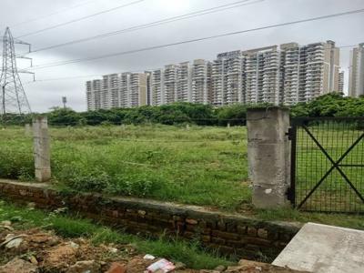 3229 sq ft Plot for sale at Rs 1.10 crore in YEIDA Plot in Sector 19 Yamuna Expressway, Noida