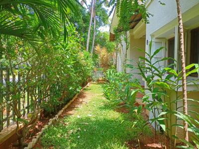 3560 sq ft 4 BHK 4T Villa for rent in Adarsh Palm Meadows Annexe at Whitefield Hope Farm Junction, Bangalore by Agent Puran