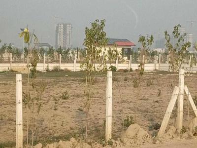 450 sq ft East facing Plot for sale at Rs 5.50 lacs in Purvanchal Enclave 142 in Sector 142, Noida