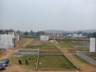 450 sq ft East facing Plot for sale at Rs 6.50 lacs in New green valley in Sector 144, Noida