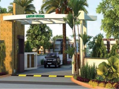 4500 sq ft 3 BHK 3T Villa for sale at Rs 100.00 lacs in Lavish Green Dadri in Dadri Main Road, Noida