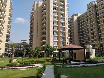 600 sq ft 1 BHK 2T Apartment for rent in Signature Global Andour Heights at Sector 71, Gurgaon by Agent abhi
