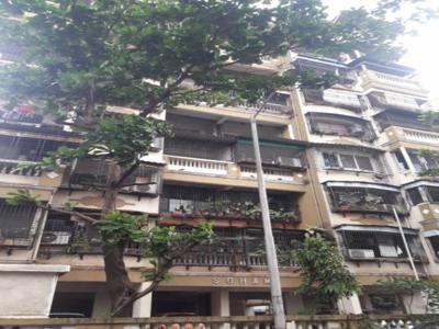 700 sq ft 1 BHK 1T Apartment for rent in Reputed Builder Soham at Seawoods, Mumbai by Agent MUKESH KUMAR