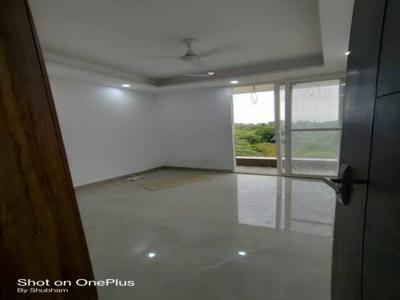 750 sq ft 2 BHK 2T South facing Completed property BuilderFloor for sale at Rs 45.00 lacs in Project in Saket, Delhi