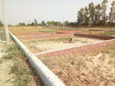 800 sq ft North facing Plot for sale at Rs 10.80 lacs in Dream Valley in Ambli, Ahmedabad