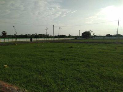 960 sq ft North facing Plot for sale at Rs 13.44 lacs in CMDA Approved land for Sale in Thiruninrevur 0th floor in Thiruninravur, Chennai