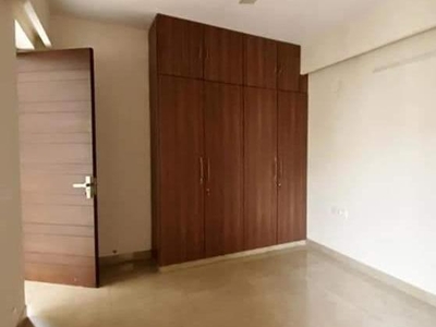 1 Bedroom 450 Sq.Ft. Builder Floor in Shalimar Garden Ghaziabad