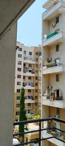 1 BHK Flat for rent in Dhanori, Pune - 600 Sqft