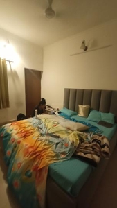 1 BHK Flat for rent in Kalkaji, New Delhi - 700 Sqft