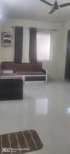 1 BHK Flat for rent in Kothrud, Pune - 500 Sqft