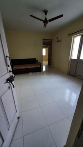 1 BHK Flat for rent in Vishrantwadi, Pune - 650 Sqft
