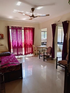 1 BHK Flat for rent in Warje, Pune - 600 Sqft