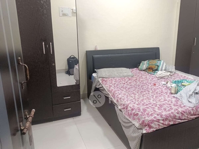 1 BHK Flat In Sayli Co-oprative Housing Society for Rent In Sector 9 Airoli