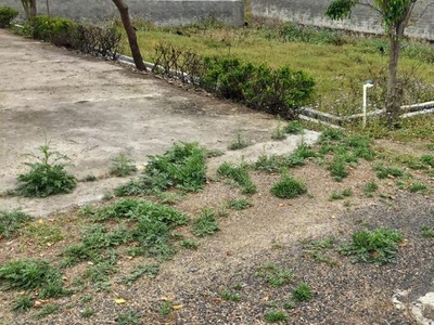 100 Sq.Yd On Road Plot For Sale