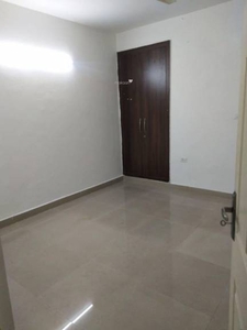 1150 sq ft 2 BHK 2T Apartment for rent in Supertech Cape Town at Sector 74, Noida by Agent NEW DOOR PROPERTY