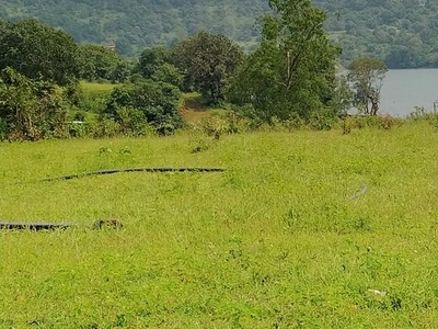 2 Acre Plot in Igatpuri Nashik
