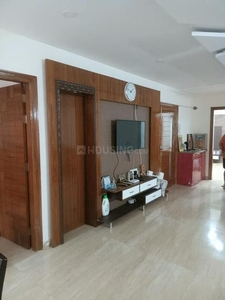 2 BHK Flat for rent in Sector 23B Dwarka, New Delhi - 800 Sqft