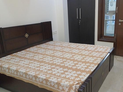 3 Bedroom 1170 Sq.Ft. Builder Floor in New Rajinder Nagar Delhi