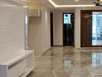 3 Bedroom 1900 Sq.Ft. Builder Floor in Sector 8, Dwarka Delhi