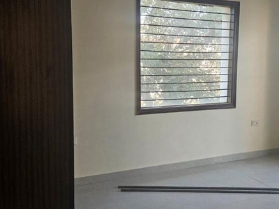 3 Bedroom 350 Sq.Yd. Builder Floor in Sector 15 Faridabad