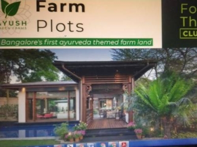 6000 sq ft East facing Plot for sale at Rs 36.01 lacs in Ayush green Farms farm land for sale in Kanakapura, Bangalore