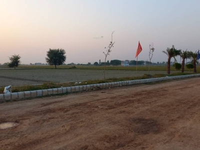 9072 sq ft Plot for sale at Rs 62.00 lacs in Project in Sector 135, Noida