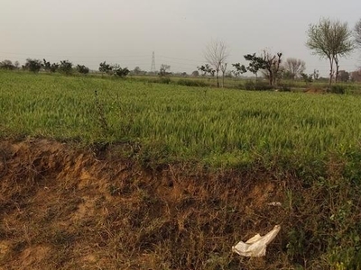 Commercial Land 12 Acre in Mohmmadpur Jharsa Gurgaon