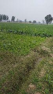 Commercial Land 5 Acre in Gohana Sonipat