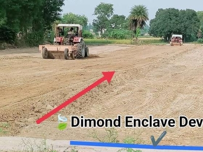 Dimond Enclave