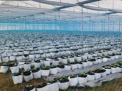 Grt Green Revolution Tech Agro Farm