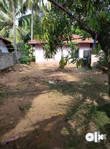 House and plot for sale