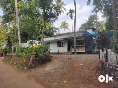 Muvattupuha near Kayanad old house for sale